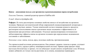 Photo of Ценные деревья как источник пищи