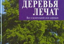 Photo of Исцеляющая сила ценных деревьев