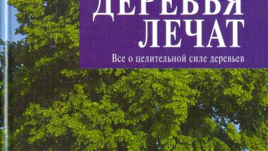 Photo of Исцеляющая сила ценных деревьев