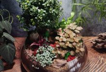 Photo of Волшебство тропической флоры