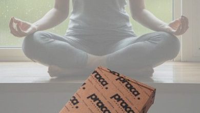 Photo of Ценные деревья для медитации