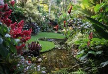 Photo of Красота тропических ландшафтов