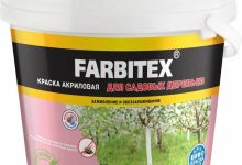 Photo of Защита ценных деревьев от болезней