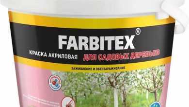 Photo of Защита ценных деревьев от болезней