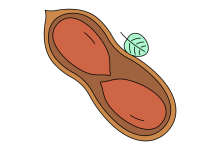 Photo of «Уникальные экосистемы лесов»