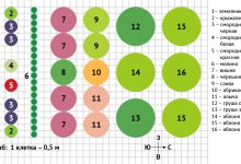 Photo of Строительство плодового сада