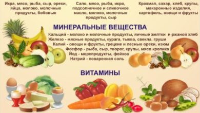 Photo of Питательные вещества в плодах