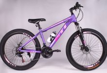 Photo of История и популярность фиолетовых велосипедов