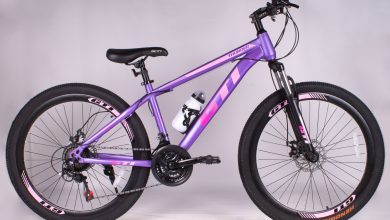 Photo of История и популярность фиолетовых велосипедов