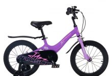 Photo of Преимущества и особенности фиолетовых велосипедов